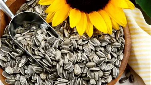 تصویر 5 از قیمت خرید تخمه دور سفید عمده با فروش ویژه