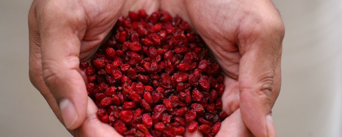 تصویر 1 از قیمت و خرید زرشک پفکی لوکس + فروش ارزان