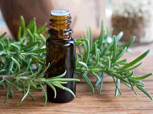 تصویر 2 از خرید دمنوش رزماری و گل محمدی نیوشا + قیمت فروش استثنایی