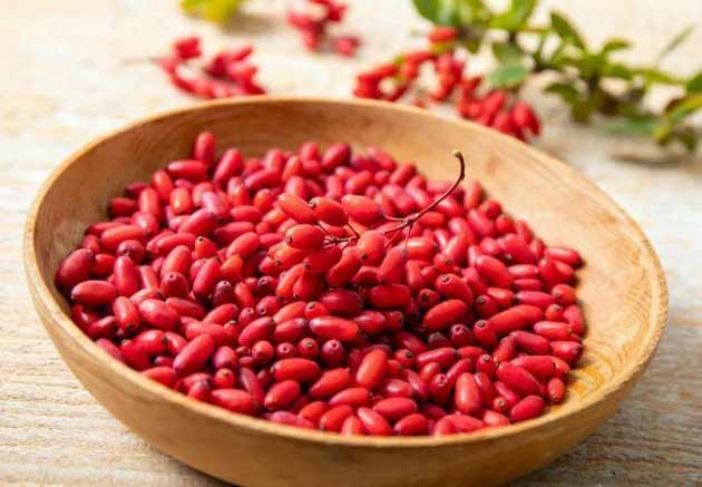 تصویر 5 از قیمت خرید زرشک اصل قاینات با فروش عمده