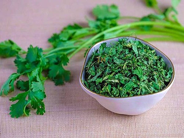 تصویر 2 از فروش سبزی گشنیز خشک + قیمت خرید به صرفه