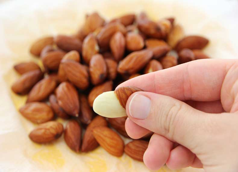 تصویر 1 از قیمت خرید بادام درختی سفید با فروش عمده