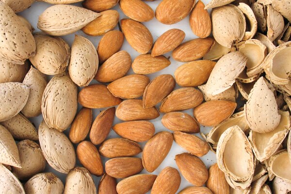 تصویر 1 از فروش بادام درختی خام + قیمت خرید به صرفه