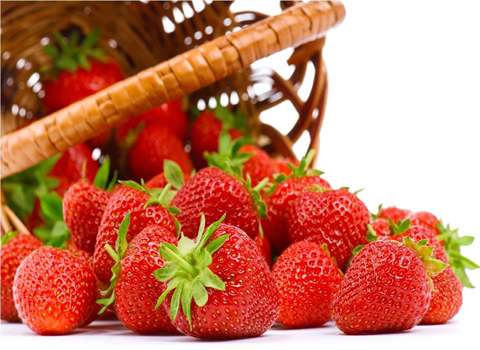 تصویر 1 از فروش توت فرنگی کیلویی + قیمت خرید به صرفه