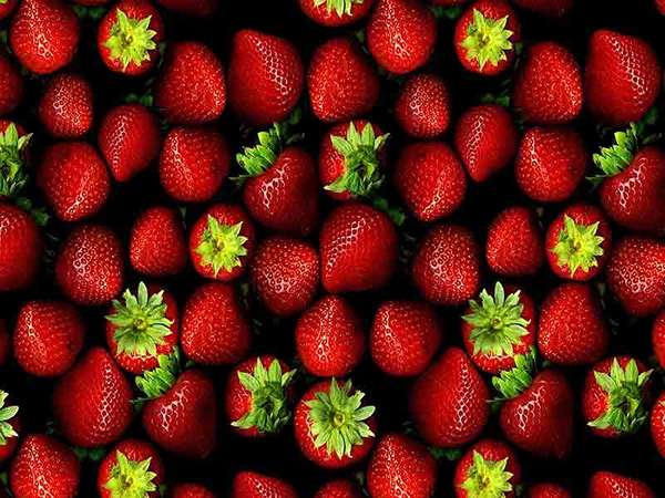 تصویر 3 از قیمت خرید توت فرنگی تازه + فروش ویژه