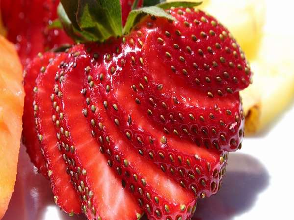 تصویر 2 از قیمت خرید توت فرنگی شمال + فروش ویژه