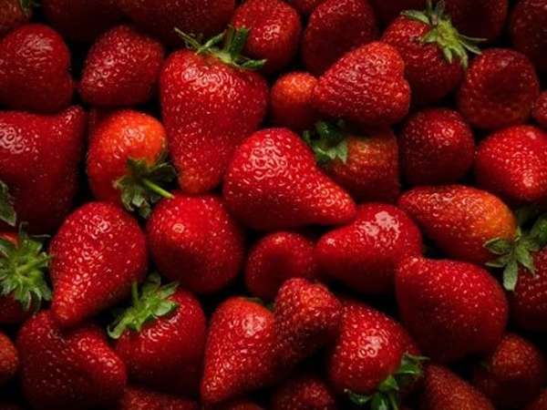 تصویر 3 از خرید توت فرنگی جیرفت + قیمت فروش استثنایی