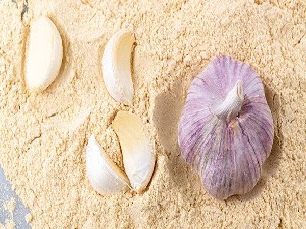 تصویر 1 از خرید پودر سیر شرکتی + قیمت فروش استثنایی