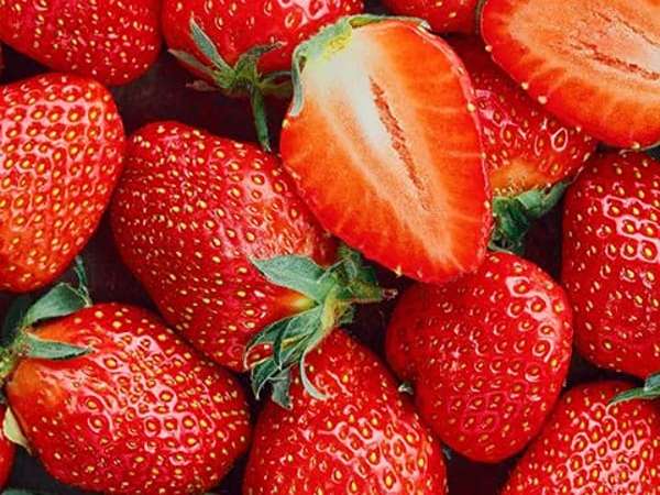 تصویر 1 از قیمت خرید توت فرنگی خارجی با فروش عمده