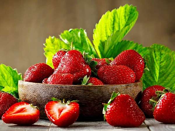 تصویر 2 از قیمت خرید توت فرنگی صادراتی + فروش ویژه