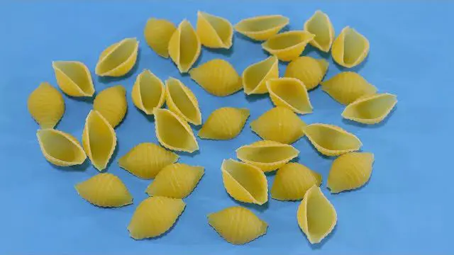 تصویر 5 از قیمت خرید ماکارونی صدفی ریز با فروش عمده