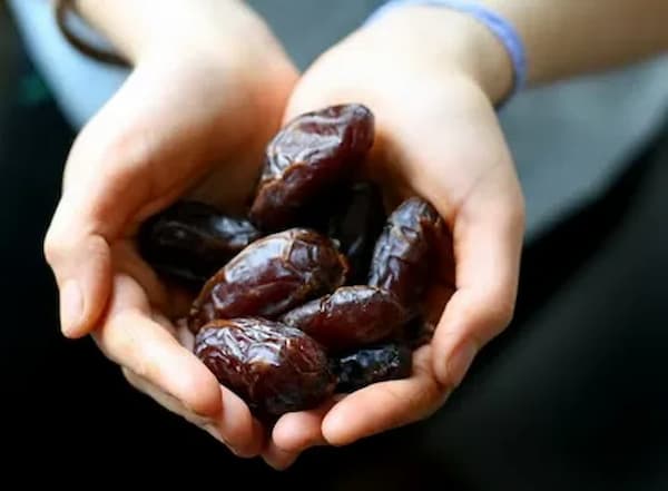 تصویر 1 از فروش خرما مجول + قیمت خرید به صرفه