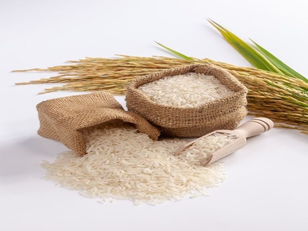 تصویر 5 از خرید برنج ایرانی اصل + قیمت فروش استثنایی