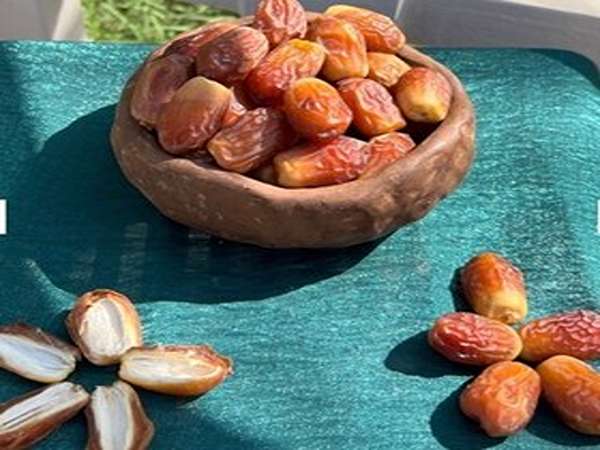 تصویر 3 از قیمت خرما زاهدی بدون هسته با کیفیت ارزان + خرید عمده