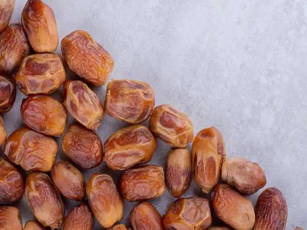 تصویر 4 از قیمت خرید خرما زاهدی فله + فروش ویژه