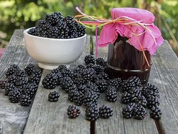 تصویر 5 از قیمت خرید شیره توت سیاه + فروش ویژه