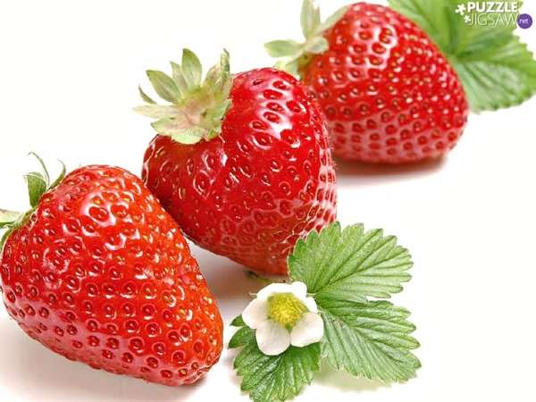 تصویر 1 از قیمت خرید توت فرنگی رسیده + فروش ویژه