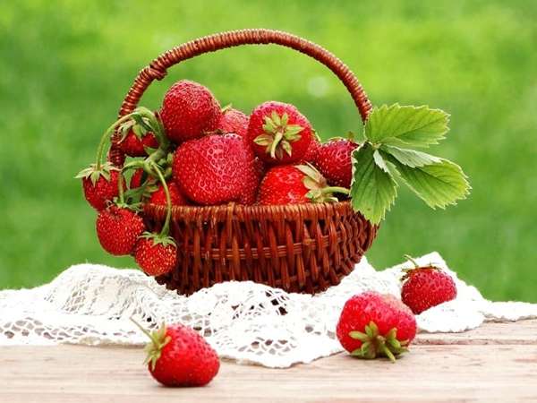 تصویر 3 از قیمت خرید توت فرنگی رسیده + فروش ویژه