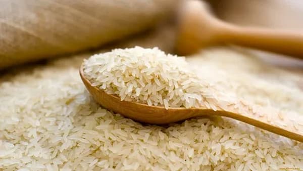 تصویر 4 از قیمت خرید برنج عنبربو عطری + فروش عمده