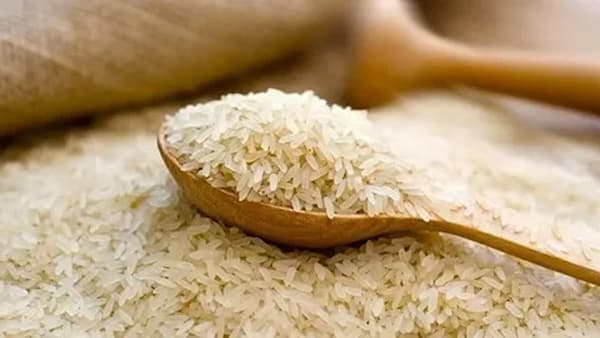 تصویر 2 از خرید و فروش برنج عنبربو عارف با شرایط فوق العاده