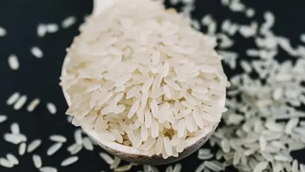 تصویر 2 از خرید و قیمت برنج عنبربو میان آب + فروش عمده