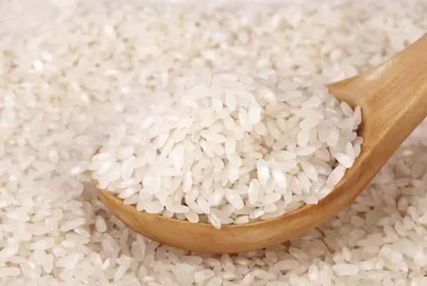 تصویر 4 از قیمت خرید برنج کامفیروز نارشا عمده به صرفه و ارزان