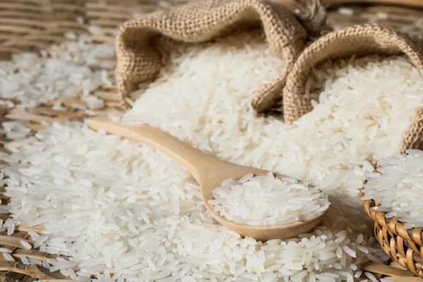 خرید و قیمت برنج عمده شمال + فروش عمده