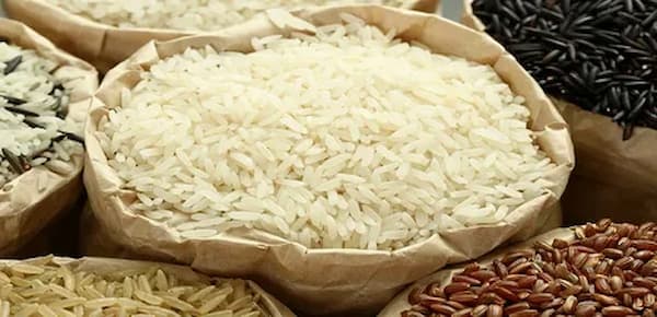 تصویر 3 از خرید و قیمت برنج عمده شمال + فروش عمده