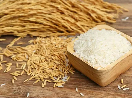 تصویر 4 از خرید و قیمت برنج عنبر بو کامفیروز + فروش عمده