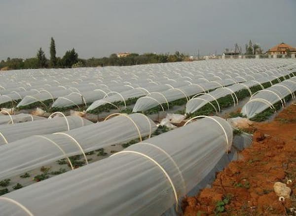 تصویر 5 از قیمت خرید نایلون بزرگ کشاورزی + فروش ویژه