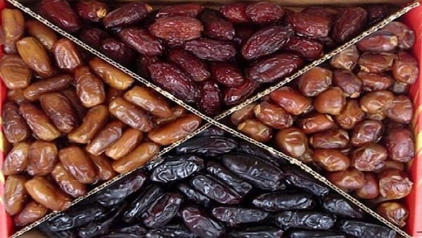 تصویر 1 از قیمت خرما کبکاب مشکین با کیفیت ارزان + خرید عمده