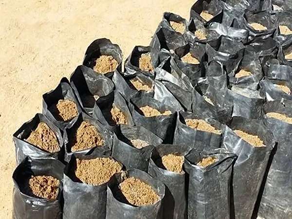 تصویر 1 از قیمت خرید خاک برگ کیسه ای با فروش ویژه