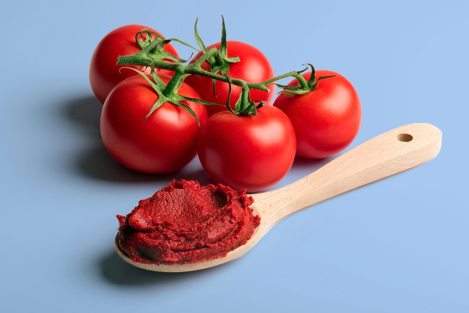 تصویر 2 از خرید و قیمت رب گوجه 70 گرمی + فروش عمده