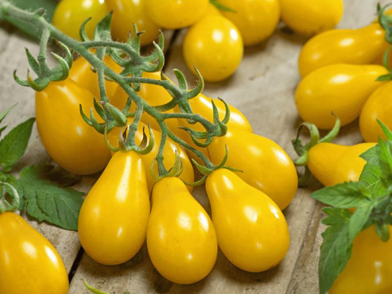 تصویر 5 از قیمت خرید رب گوجه فرنگی زرد + فروش ویژه