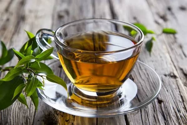 تصویر 1 از خرید و قیمت چای ایرانی خوب + فروش عمده