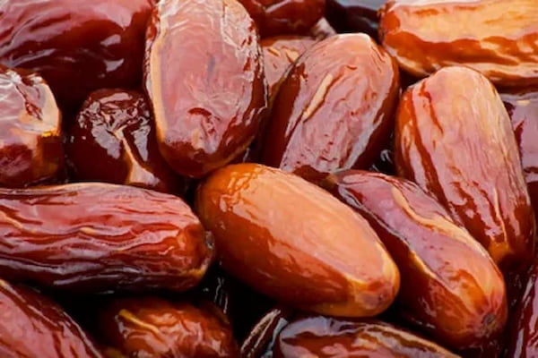 تصویر 5 از خرید و قیمت خرما کبکاب صادراتی + فروش عمده