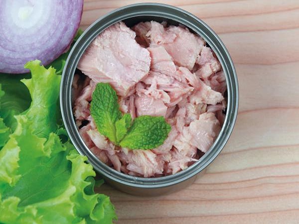 تصویر 4 از قیمت تن ماهی ۱۲۰ گرمی عمده با فروش عمده