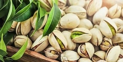 تصویر 5 از خرید پسته کله قوچی خام + قیمت فروش استثنایی