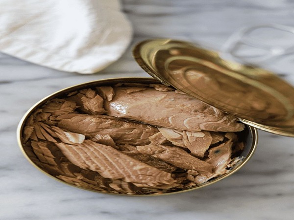 تصویر 1 از قیمت خرید کنسرو تن ماهی جنوب + فروش ویژه
