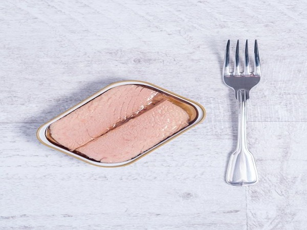 تصویر 5 از قیمت خرید کنسرو تن ماهی + فروش ویژه