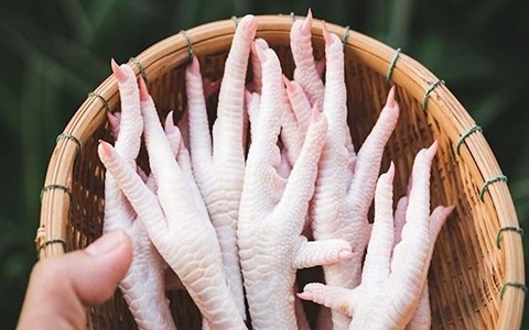 تصویر 4 از خرید پای مرغ سفید + قیمت فروش استثنایی