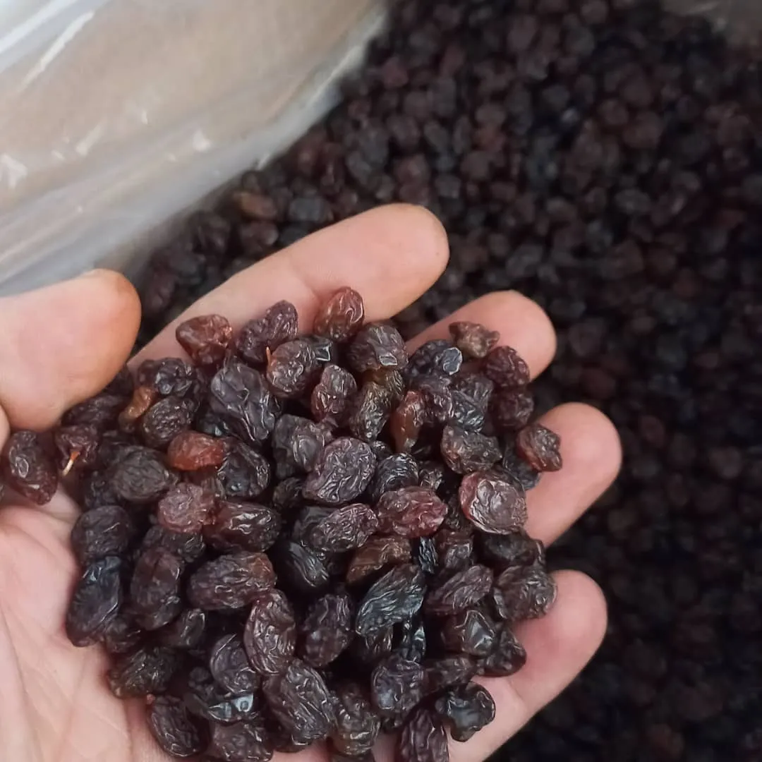 تصویر 5 از قیمت کشمش پلویی درشت با کیفیت ارزان + خرید عمده