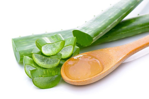 تصویر 1 از خرید ژل آلوئه ورا خانگی + قیمت فروش ویژه