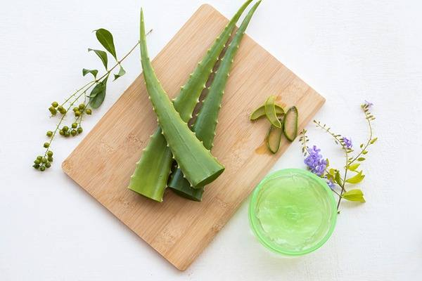 تصویر 1 از قیمت ژل آلوئه ورا طبیعی + خرید باور نکردنی