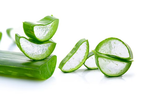 تصویر 3 از قیمت ژل آلوئه ورا طبیعی + خرید باور نکردنی