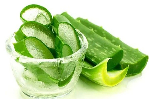 تصویر 5 از قیمت ژل آلوئه ورا طبیعی + خرید باور نکردنی