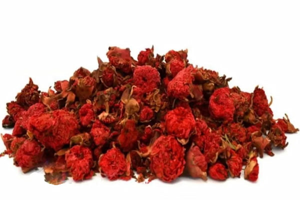 گیاه گلنار