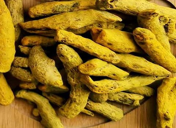 تصویر 2 از خرید و قیمت زردچوبه قلم هندی + فروش عمده