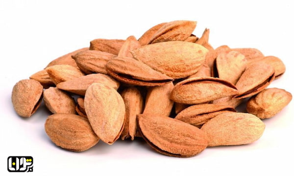 تصویر 5 از قیمت بادام درختی منقا با کیفیت ارزان + خرید عمده