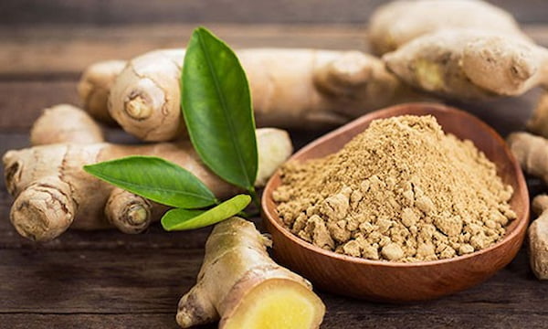 تصویر 5 از خرید و فروش زنجبیل قلم چینی با شرایط فوق العاده